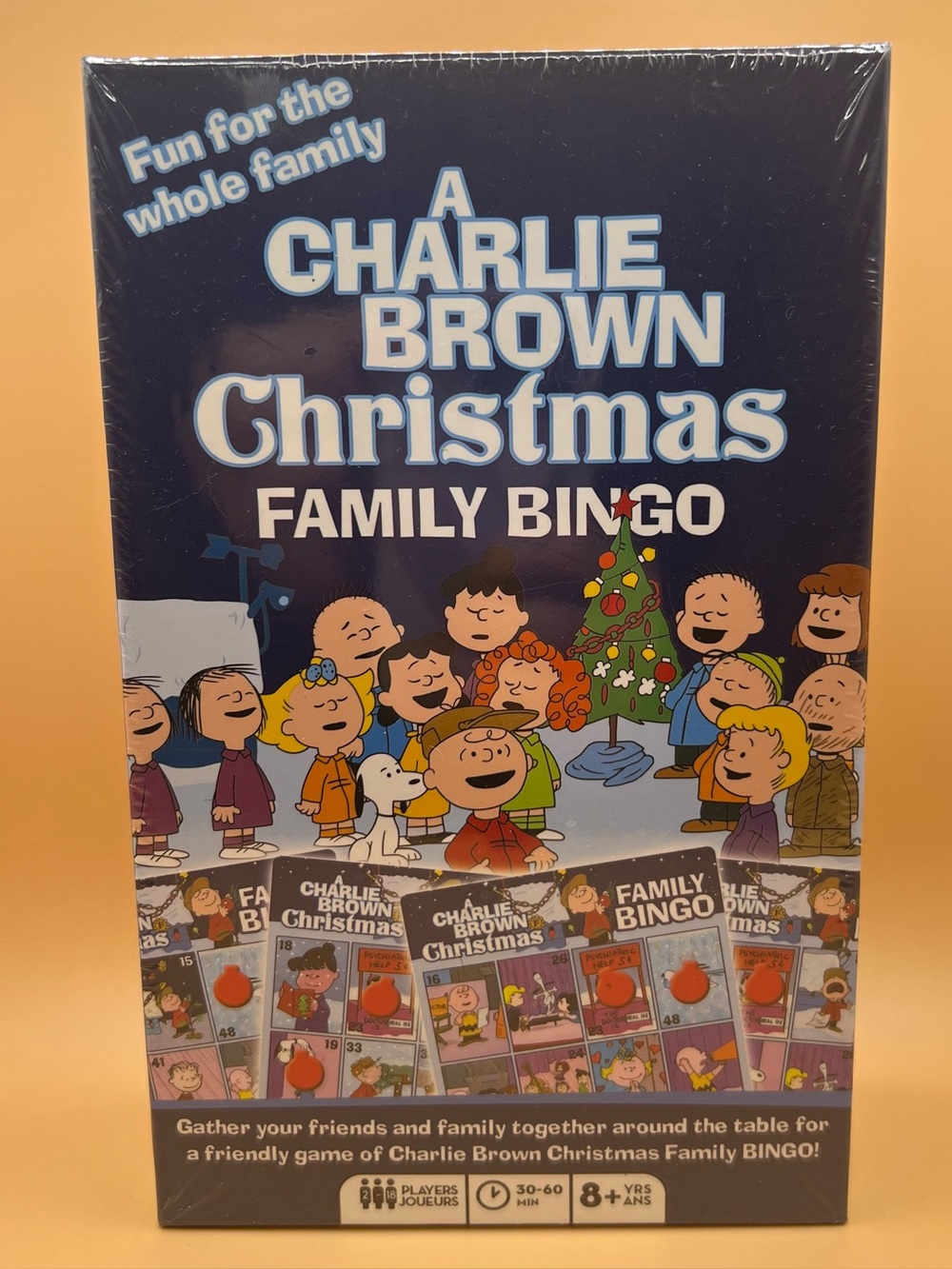 Peanuts A Charlie Brown Christmas Family Bingo Game NEW